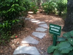 a sign on a dirt path in a garden