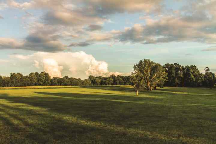 a field with clouds in the sky