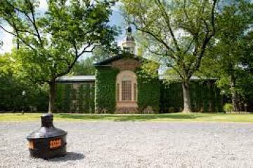 a tree in front of a house